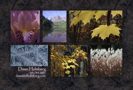 A sample of my Photoshop work--a 4 x 6 postcard made up of several of my nature photos.